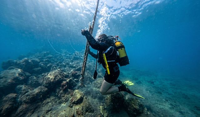 Kuşadası'nda dip temizliği yapıldı