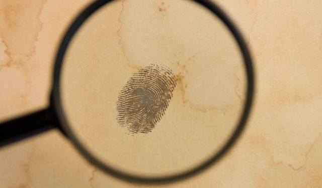 14 yıllık gizem DNA incelemesiyle çözüldü