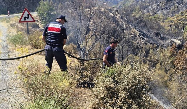 Jandarma yangın bölgesinde tahliyeyi tamamladı