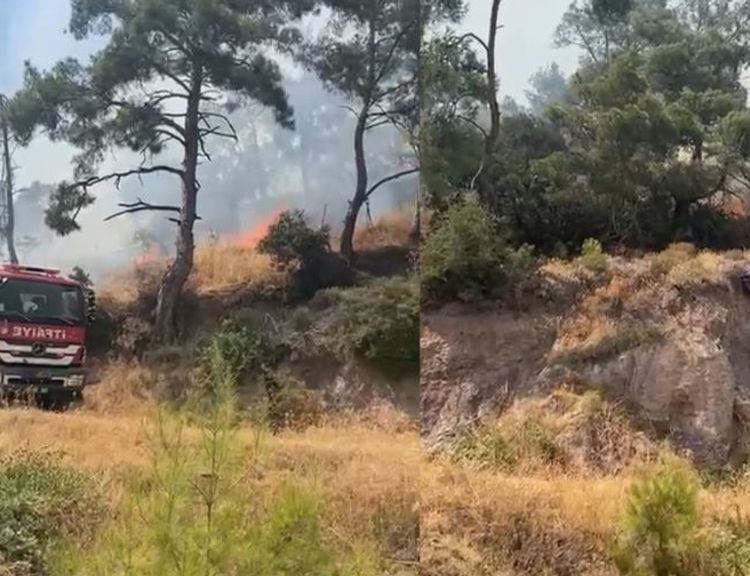 Efeler'de Kenger Mahallesi'ndeki dağlık alanda yangın çıktı