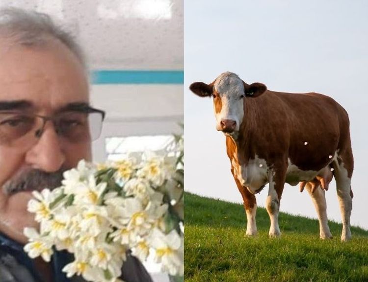 Koçarlı'da bir çiftçi, kayıp hayvanlarını bulana 100 bin lira ödül verecek!