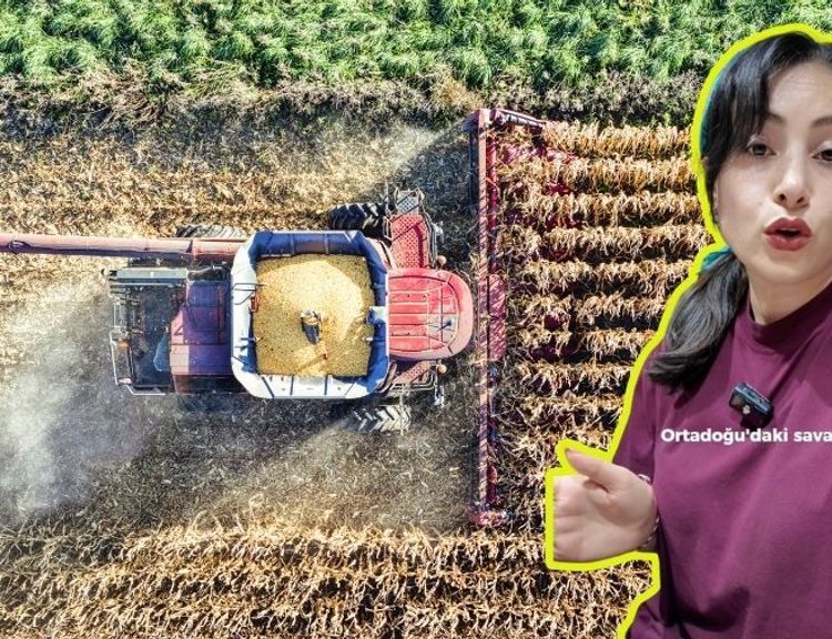 ABD, İsrail ve İran savaşı Aydın'ın tarımını vurdu! Gübre fiyatları artabilir