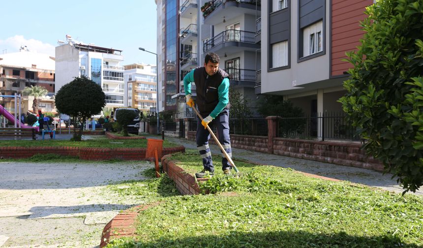 Efeler'in parkları temizleniyor