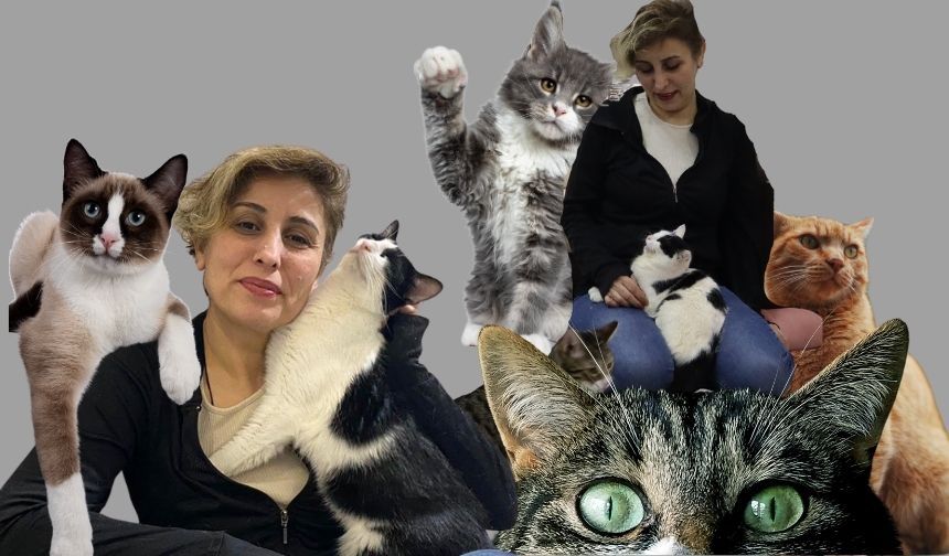 Kedilerle eksik olan parçasını tamamladı! Pınar Göktaş ve Keçi'nin hikayesi