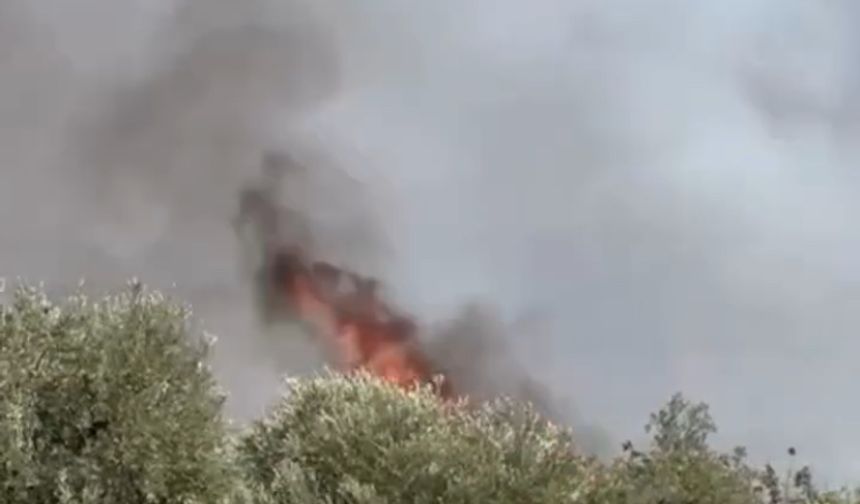 Aytepe’de başlayan yangına müdahale sürüyor