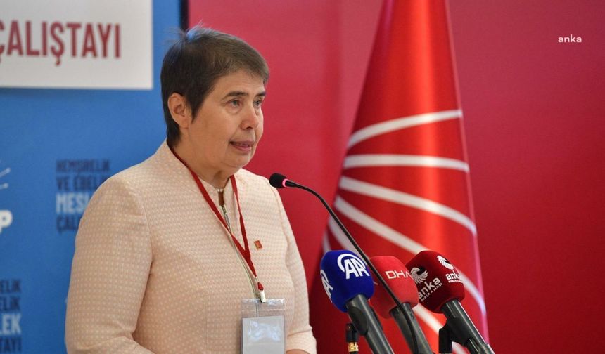 Zeliha Aksaz Şahbaz: "Hastaneler,güvenliği tehdit eder duruma gelmiştir"