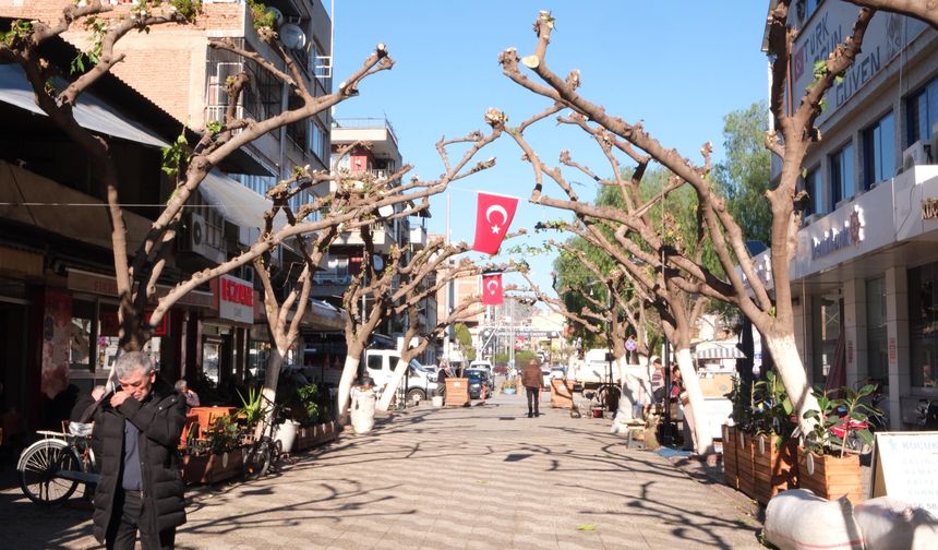 Büyükşehir İncirliova’da ağaçları budadı, vatandaşlar rahat bir nefes aldı