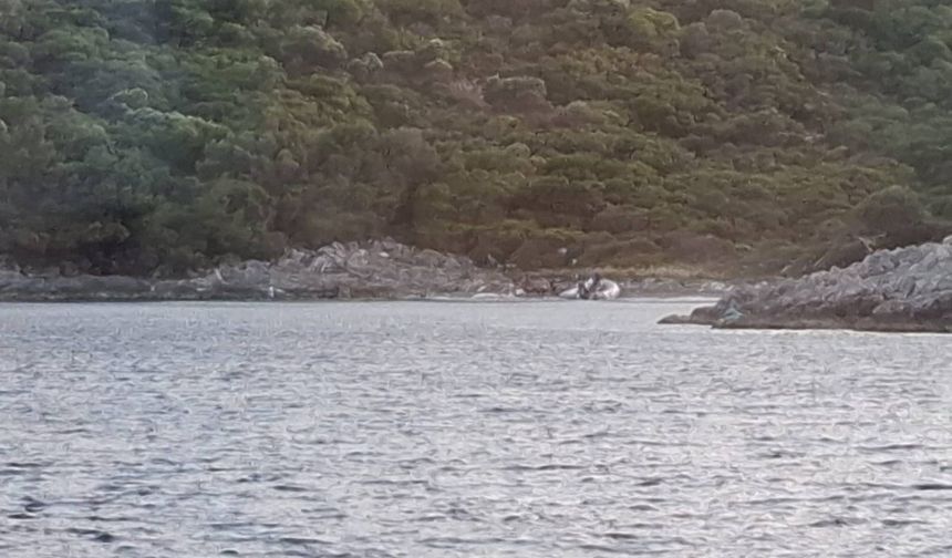 Kuşadası'nda yasaklı bölgeye zodyak botla girdiler!
