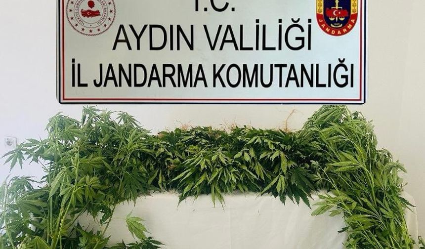 Aydın’da şüpheli şahıslar yakalandı!