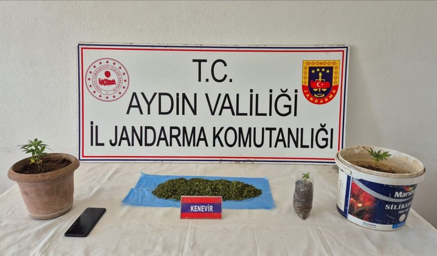 Köşk'te uyuşturucu operasyonu: 1 yakalama
