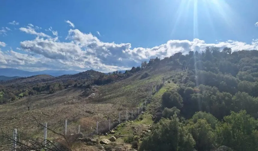 Latmos'ta bir yıkım projesi daha: Zorlu'nun GES'ine bakanlıktan onay!