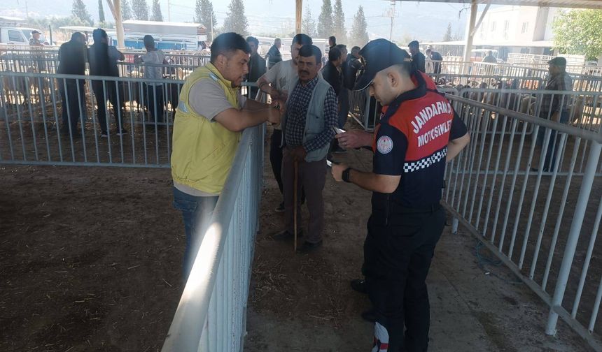 Çine jandarmasından hayvan pazarında güvenlik denetimi