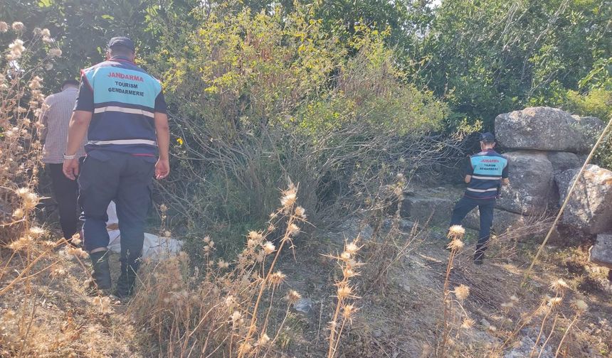 Didim'de koruma altındaki incir ileği meyvesini toplayan 2 kişiye yasal işlem