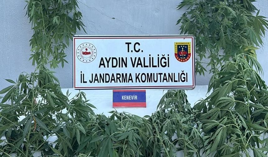 Aydın’da uyuşturucu operasyonu: 16 şüpheli yakalandı!