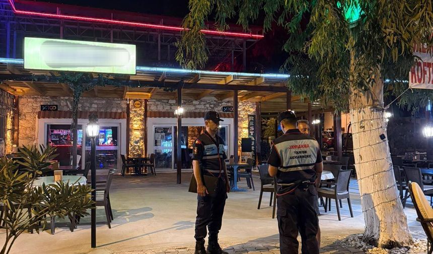 Didim ve Sultanhisar'da sıcak nokta uygulaması