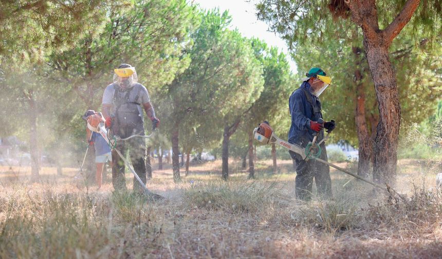 Didim Belediyesi'nden çevreye farkındalık etkinliği