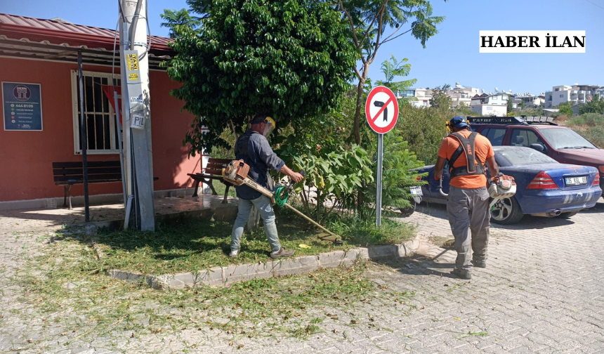 Didim Belediyesi kent estetiği ve yaşam kalitesini artırmak için sahada