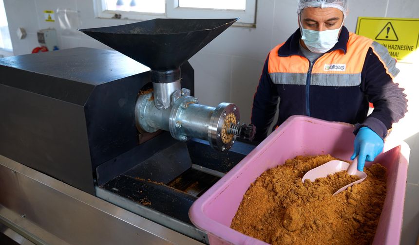 Didim'de her geri dönüşüm can dostlara umut olacak!