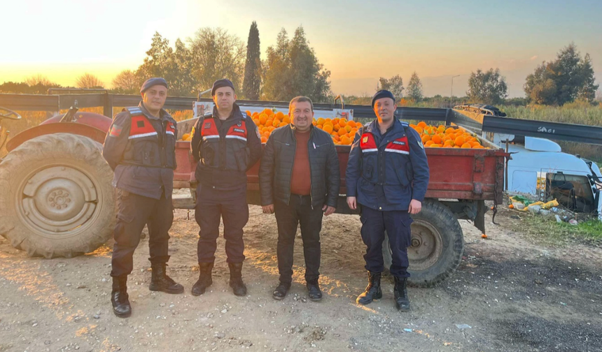 Aydın'da portakal hırsızları yakalandı