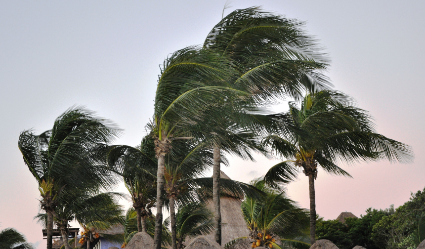 Güney Ege'de fırtına uyarısı!