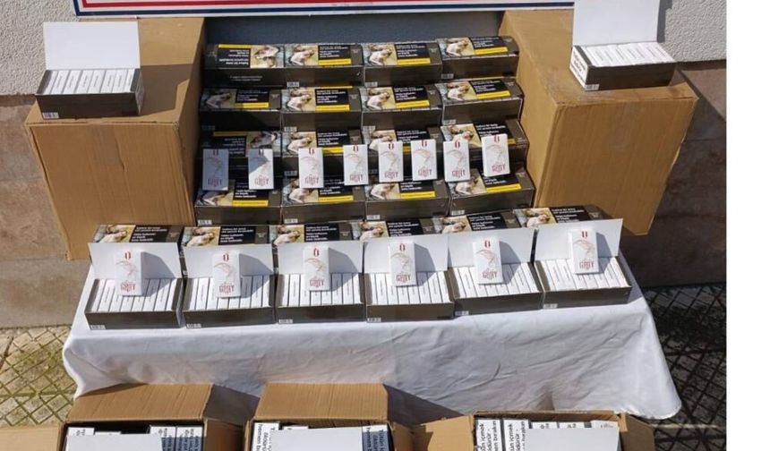 Çine'de 55 bin adet kaçak makaron ele geçirildi!