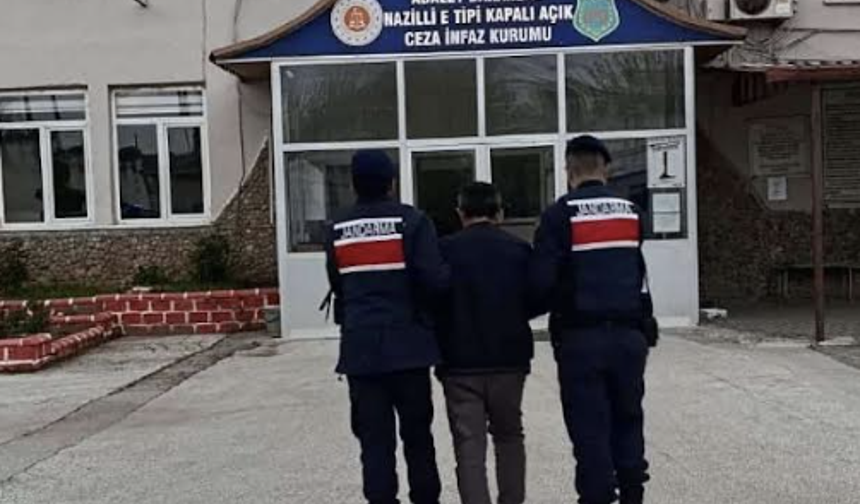 Aydın'da 208 kök hint keneviri ele geçirildi