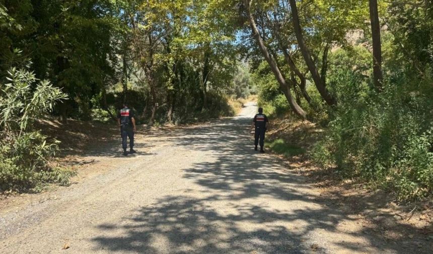 Aydın’da valilikten ormanlara giriş yasağı kararı