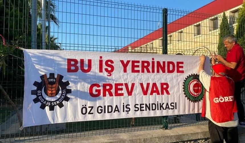 Germencik OSB'de grev: “Mücadeleden geri durmayacağız!”