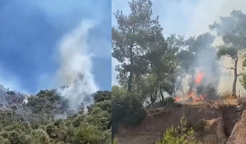 Aydın Valiliği, orman yangını riskine karşı vatandaşları uyardı