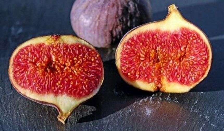 Aydın incirinin fiyatı sosyal medyada gündem oldu