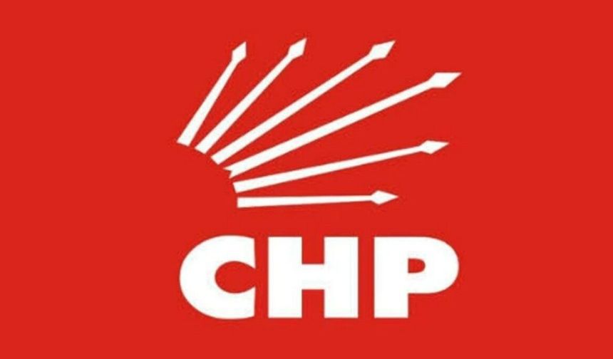 CHP'de yurt dışı örgütlenmesine Aydınlı isim görevlendirildi