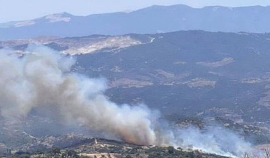 Bakan Kurum açıkladı: Aydın'da 20 bağımsız bölüm ağır hasarlı