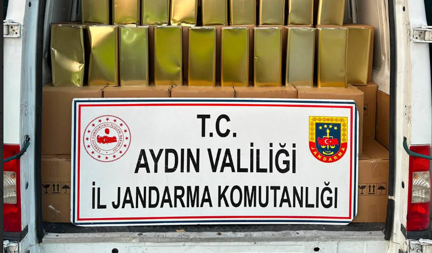 Aydın'da sahte zeytinyağı operasyonu!