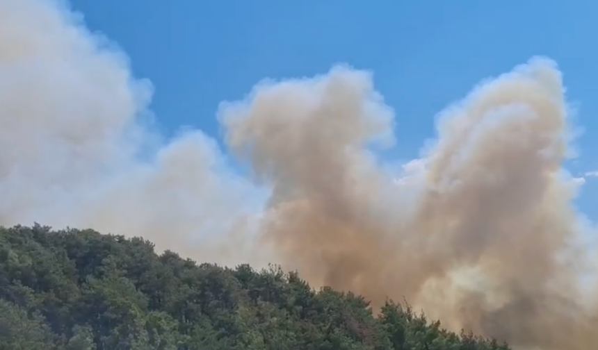 Balıkesir'in Sındırgı ilçesinde yangın çıktı!
