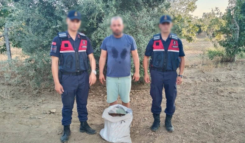 Germencik'te incir hırsızı suçüstü yakalandı