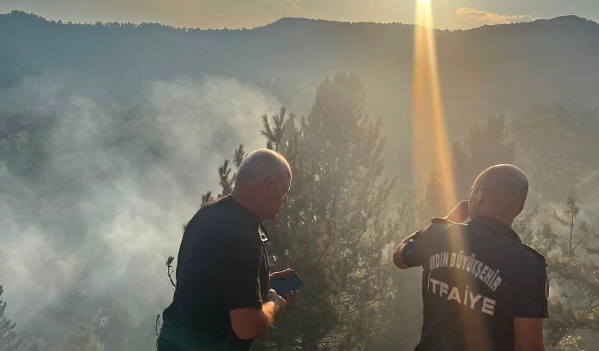 Aydın Büyükşehir Belediyesi Kuyucak'ta yangına müdahale ediyor
