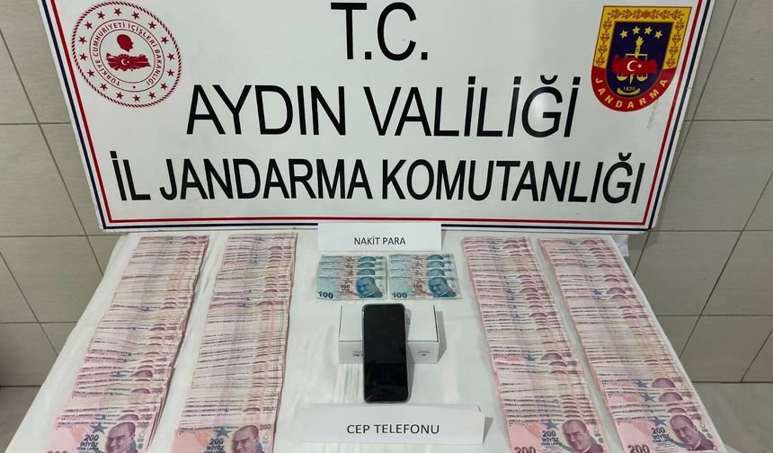 Bozdoğan'da yaşlı vatandaşın evini soyan 2 şüpheli yakalandı