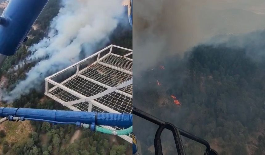 Kuyucak'taki orman yangını kontrol altına alındı