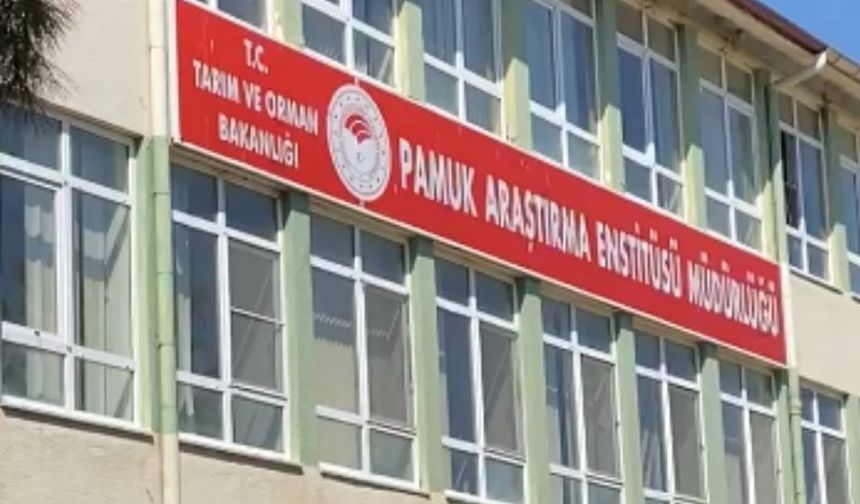 Nazilli Pamuk Araştırma Enstitüsü’ne operasyon!