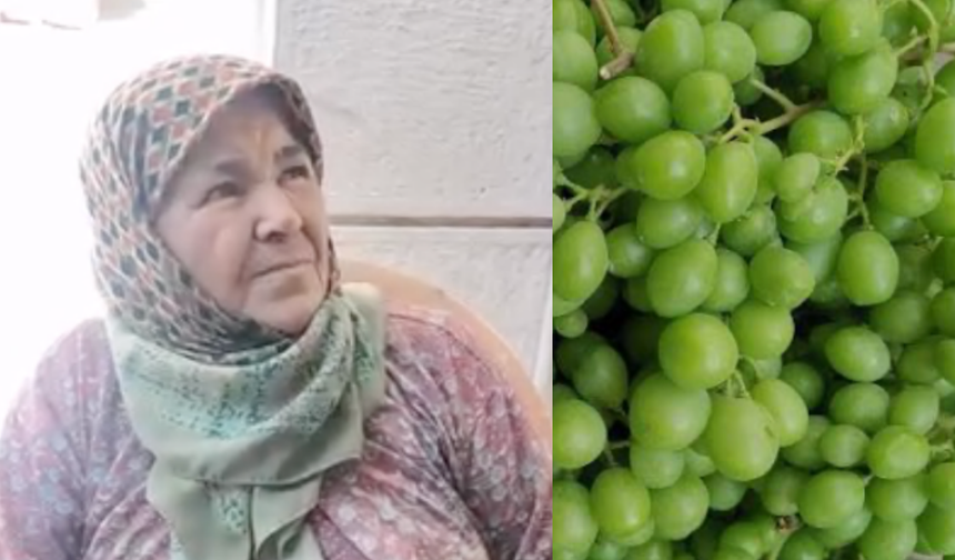 Aydın mutfağında koruğun bilinmeyen lezzeti