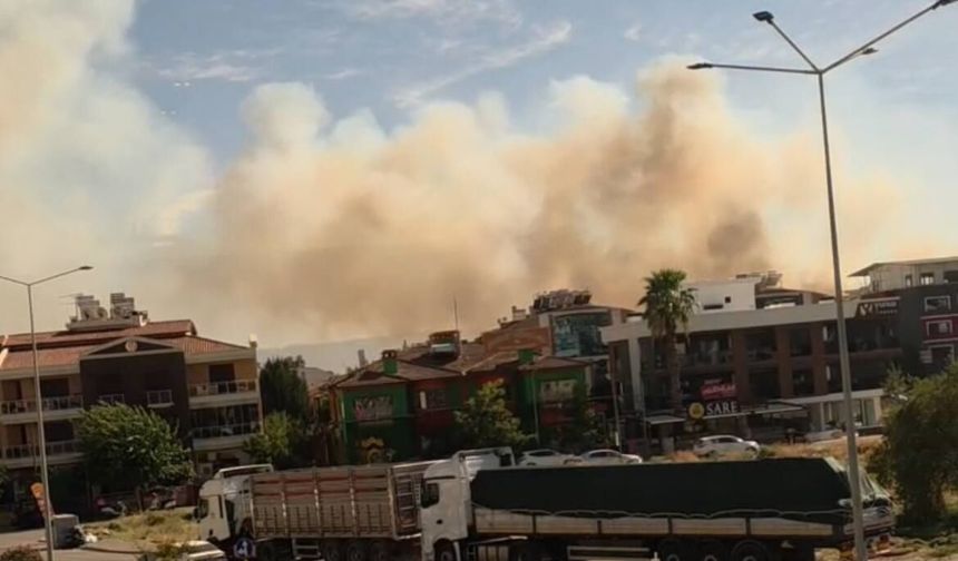Efeler Güneybatı Otoyol Caddesi yanında yangın!