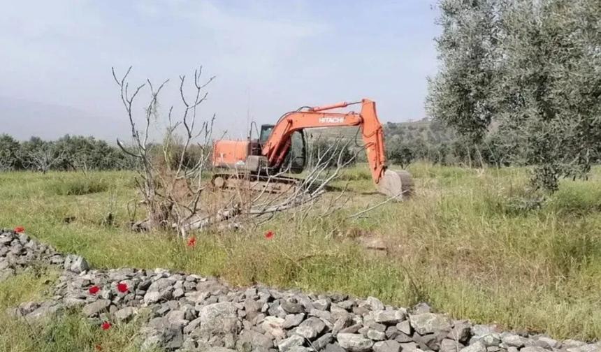 Mahkeme iptal etmişti... Zeytinliklere JES onayı!