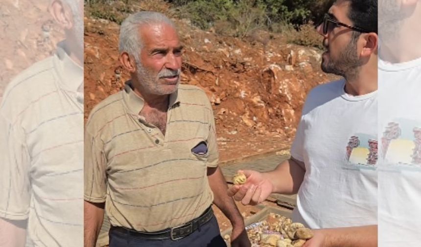 Aydın'da incir üreticisi düşük fiyatlara isyan etti: “Üretici can çekişiyor”