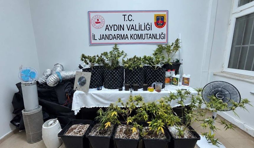 Kuşadası’nda evden skunk üretimi çıktı!
